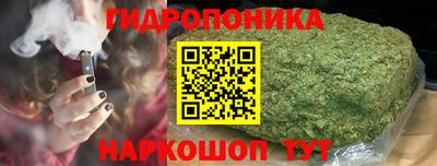 бутират Кингисепп