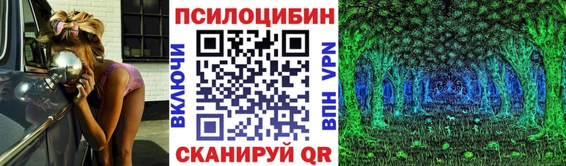 Галлюциногенные грибы Psilocybine cubensis Краснодар