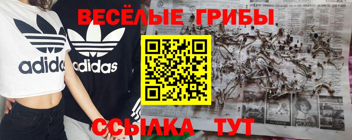 Краснодар  Псилоцибиновые грибы мицелий  Вход с VPN  Галлюциногенные грибы мухоморы 