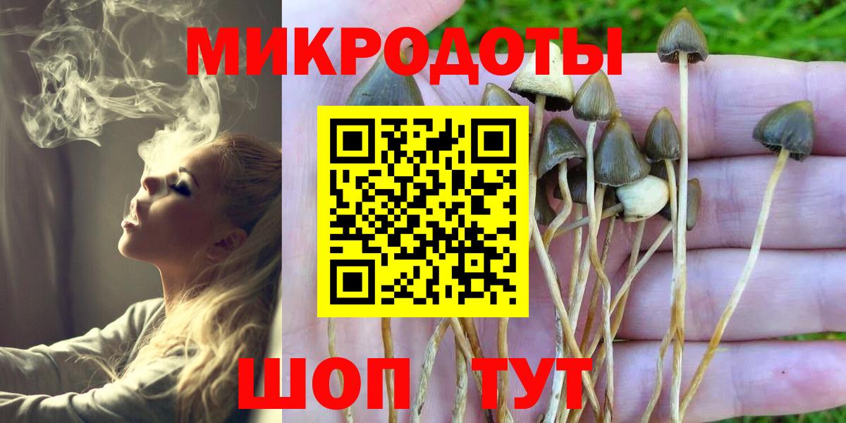 Псилоцибиновые грибы мухоморы Краснодар